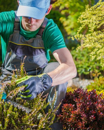 Gartenpflege und Gartengestaltung, ZAP Garten und Landschaftsbau